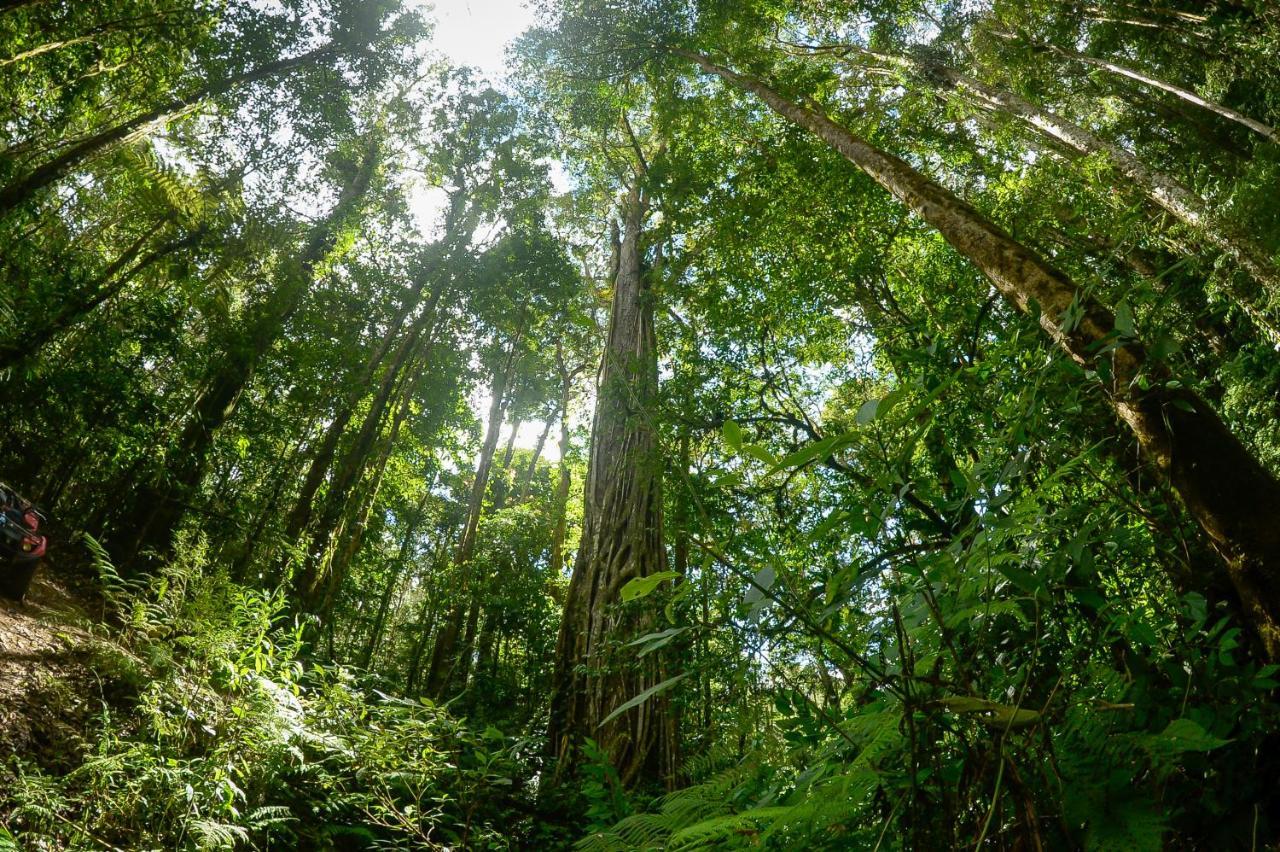 Talamanca Nature Reserve Rivas エクステリア 写真