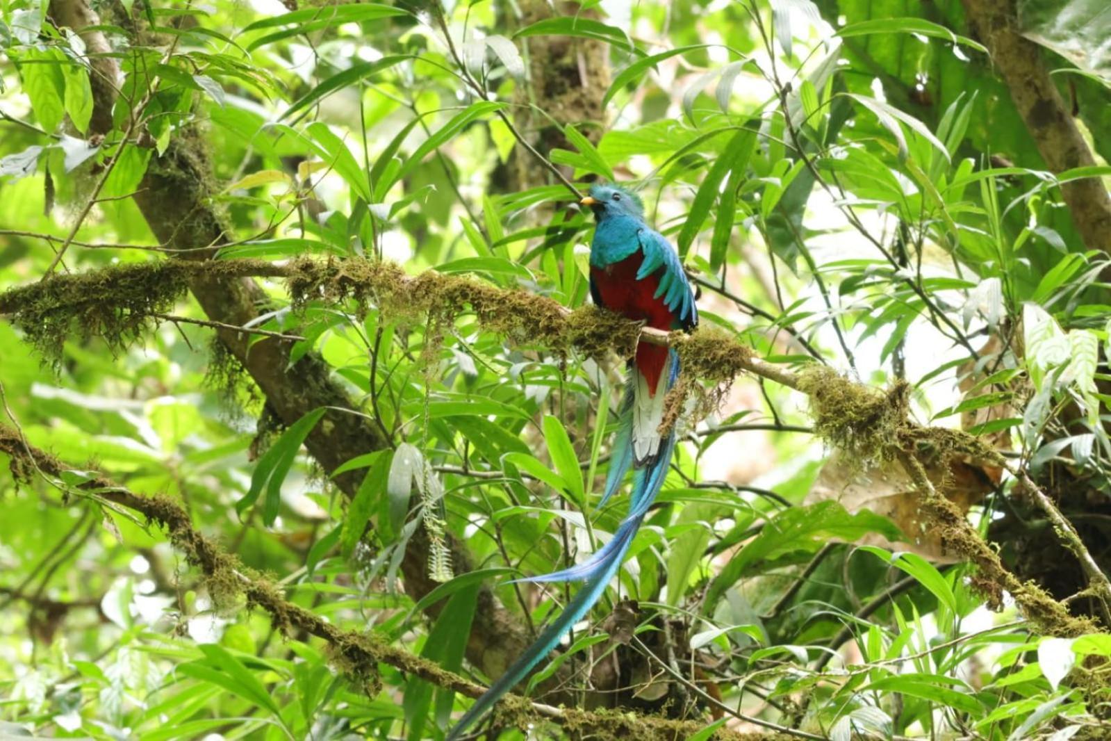 Talamanca Nature Reserve Rivas エクステリア 写真