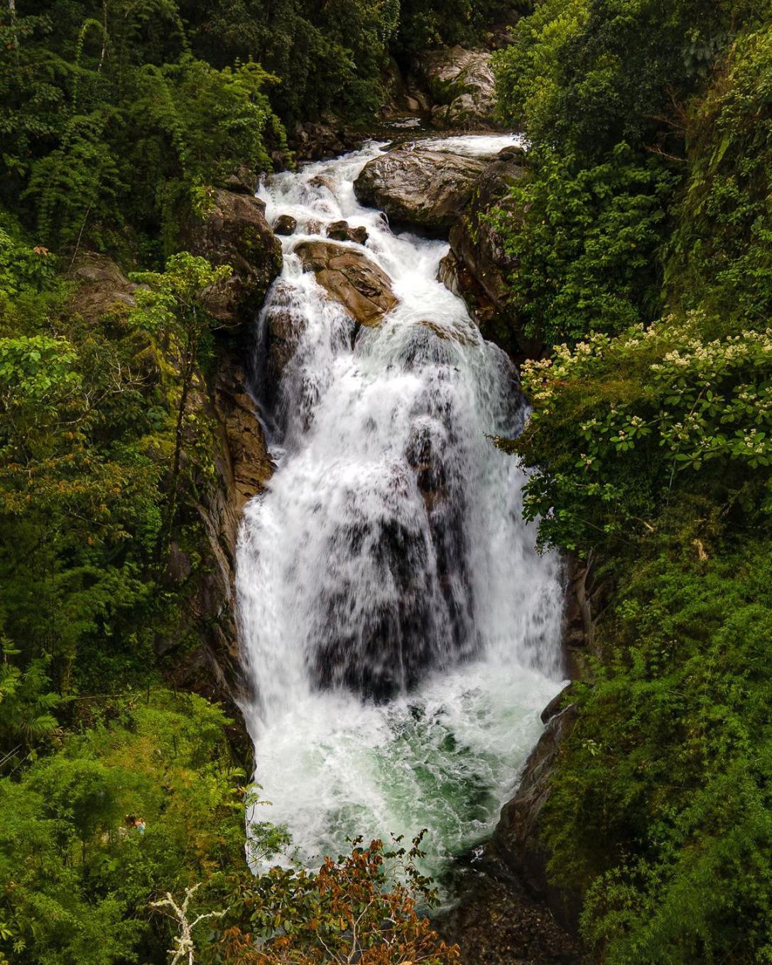 Talamanca Nature Reserve Rivas エクステリア 写真